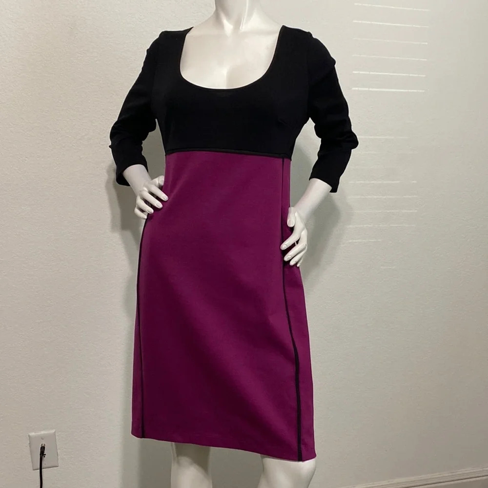Narciso Rodriguez for Design Nation 3/4 Sleeve Color Block Above Knee Dress Sz L